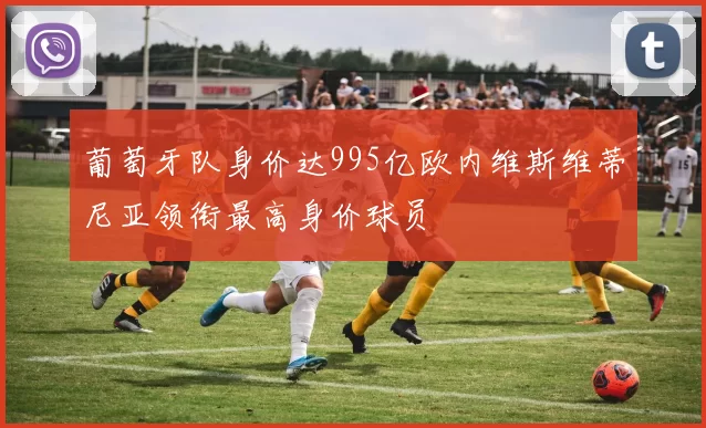 葡萄牙队身价达995亿欧内维斯维蒂尼亚领衔最高身价球员