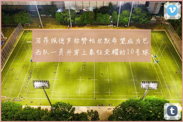 若昂佩德罗称赞帕尔默希望成为巴西队一员并穿上象征荣耀的10号球衣