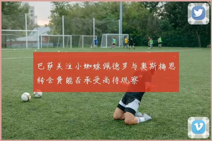 巴萨关注小蜘蛛佩德罗与奥斯梅恩转会费能否承受尚待观察